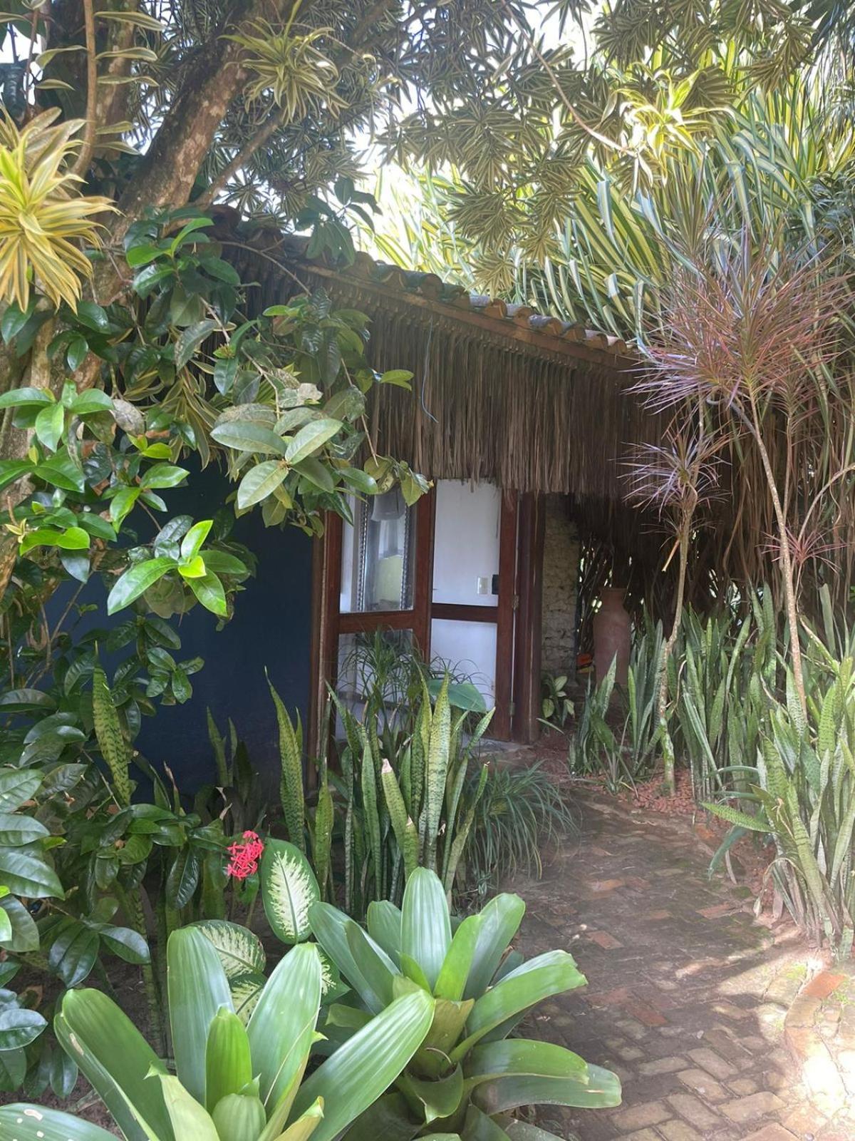 Pousada Morro Dos Navegantes イリェウス エクステリア 写真